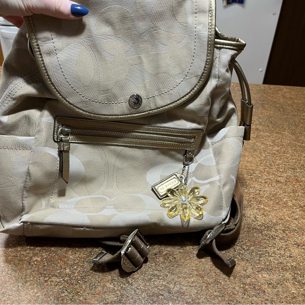 Vintage Coach Backpack